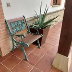 Tiviti
